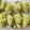 クックT89K5L☆'s cooksnap of when they made しっとり☆なめらかスイートポテト.