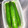 crystaI's cooksnap of when they made きゅうりの保存.