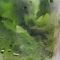 桜空星's cooksnap of when they made 大葉の保存.