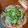 ねこ子16's cooksnap of when they made スモークサーモンのサラダ.