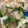クックU71U8C☆'s cooksnap of when they made カブときゅうりの中華漬け.
