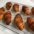 tynz's cooksnap of when they made 全粒粉入りクロワッサン（ＨＢ使用）.
