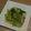 ogyu8786's cooksnap of when they made 青梗菜のおひたし生姜風味.