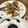 め目め's cooksnap of when they made たこ焼きパーティー.