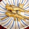 ルぴあ's cooksnap of when they made とまらない～煮干しｳﾏｰ.