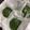 ゆきしょこら's cooksnap of when they made よもぎもち.