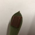 matyapy's cooksnap of when they made グラパラリーフチョコレート宇宙へGO.