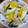 クックL2DT1S☆'s cooksnap of when they made 夏野菜と豚肉のバジル炒め.