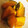 さつまいも‼'s cooksnap of when they made 簡単美味しい♪かぼちゃの煮物.