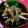 辰夫女子's cooksnap of when they made 鶏皮とごぼうのきんぴら風.