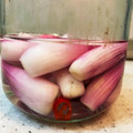 マコミコ's cooksnap of when they made らっきょうの塩漬け.