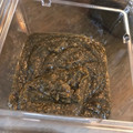 さくらはむ's cooksnap of when they made 山椒味噌ペースト♪木の芽和え等に♪.