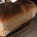 さちこの食卓's cooksnap of when they made 酒粕酵母のミニ食パン.