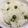 ミッキーこむぎ's cooksnap of when they made 豆ご飯.