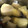 クック9D36F5☆'s cooksnap of when they made 筍の下処理とゆで方!.
