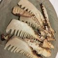 オタの奥さん's cooksnap of when they made 魚焼きグリルで焼き筍.