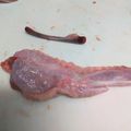 KMRHY's cooksnap of when they made 簡単簡単♪手羽先の骨を抜いてみようぜぃ♪.