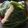 ASシュガー's cooksnap of when they made 蕗の葉のおにぎり.