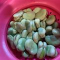 たまこ☆v☆'s cooksnap of when they made そら豆茹で方。.