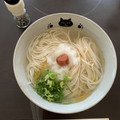 うっかりの期待の楽園's cooksnap of when they made 中華風♪簡単＊梅おろしにゅうめん.