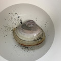 Pikakelani's cooksnap of when they made 簡単＆失敗無し！あさりの砂出し(砂抜き).