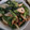 やすらー's cooksnap of when they made 小松菜とちくわのマヨめんつゆ和え.