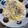 机上のハワイ's cooksnap of when they made ツナとレモンクリームのパスタ.