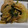 あひまびねき's cooksnap of when they made たけのこの中華風炒め.