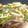 ＭＩＬＵ's cooksnap of when they made うちの簡単♪青椒肉絲.