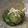 れのっち's cooksnap of when they made きゅうりの生姜昆布茶和え.