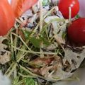 ごんべい君's cooksnap of when they made レンコンと水菜とツナのサラダ.