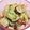 キャラメグ♪'s cooksnap of when they made キャベツとちくわの味噌マヨサラダ.