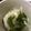 ぱたもん's cooksnap of when they made ダブルかぶ☆めかぶとかぶの和え物.