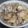 kisaragicats's cooksnap of when they made あさりの炊き込みご飯♫♬.