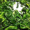 森のエナガ's cooksnap of when they made ヨモギのアク抜き.