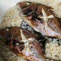 はじぇる's cooksnap of when they made 土鍋で鯛めし.