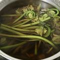 さっちん☆こ's cooksnap of when they made ゼンマイのあく抜き.