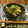 CharlotteR's cooksnap of when they made 簡単♪春〜生しらすと新玉ねぎのおつまみ.