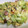 らんち☆'s cooksnap of when they made ♡♪*:.｡*うちの野菜炒め｡.:*♪♡.