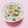 まあまま☆0403's cooksnap of when they made 桜えびと小松菜の炊き込み御飯.