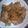 ティナタナリー's cooksnap of when they made 超簡単スペアリブの煮込み.