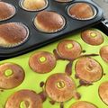 chaganicof's cooksnap of when they made 爽やかレモン☆焼きドーナツ.