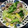 クレイプメートル's cooksnap of when they made 小松菜と豚肉にんにく炒め.