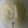クックGGLXTL☆'s cooksnap of when they made ミルクフランス用＊パン屋風ミルククリ～ム.
