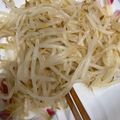 まこまこまご's cooksnap of when they made 餃子や揚げ物のお供に【サッパリもやし】.