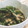Aloha☆★'s cooksnap of when they made 簡単！さやえんどうの梅マヨおかか和え.