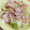 ayuteddy's cooksnap of when they made オイスターソースで上海風焼きそば.