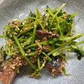 居眠り姫愛's cooksnap of when they made 簡単☆サバ缶と豆苗のピリ辛七味ごま和え.