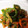 クック98RRTV☆'s cooksnap of when they made 鯖缶で簡単 野菜の常備菜.