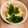 ちゃんげんまま's cooksnap of when they made 三つ葉と鶏胸肉の柚子胡椒和え.